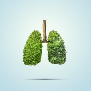 Medienmitteilung: Saubere Luft für ein gesundes Leben